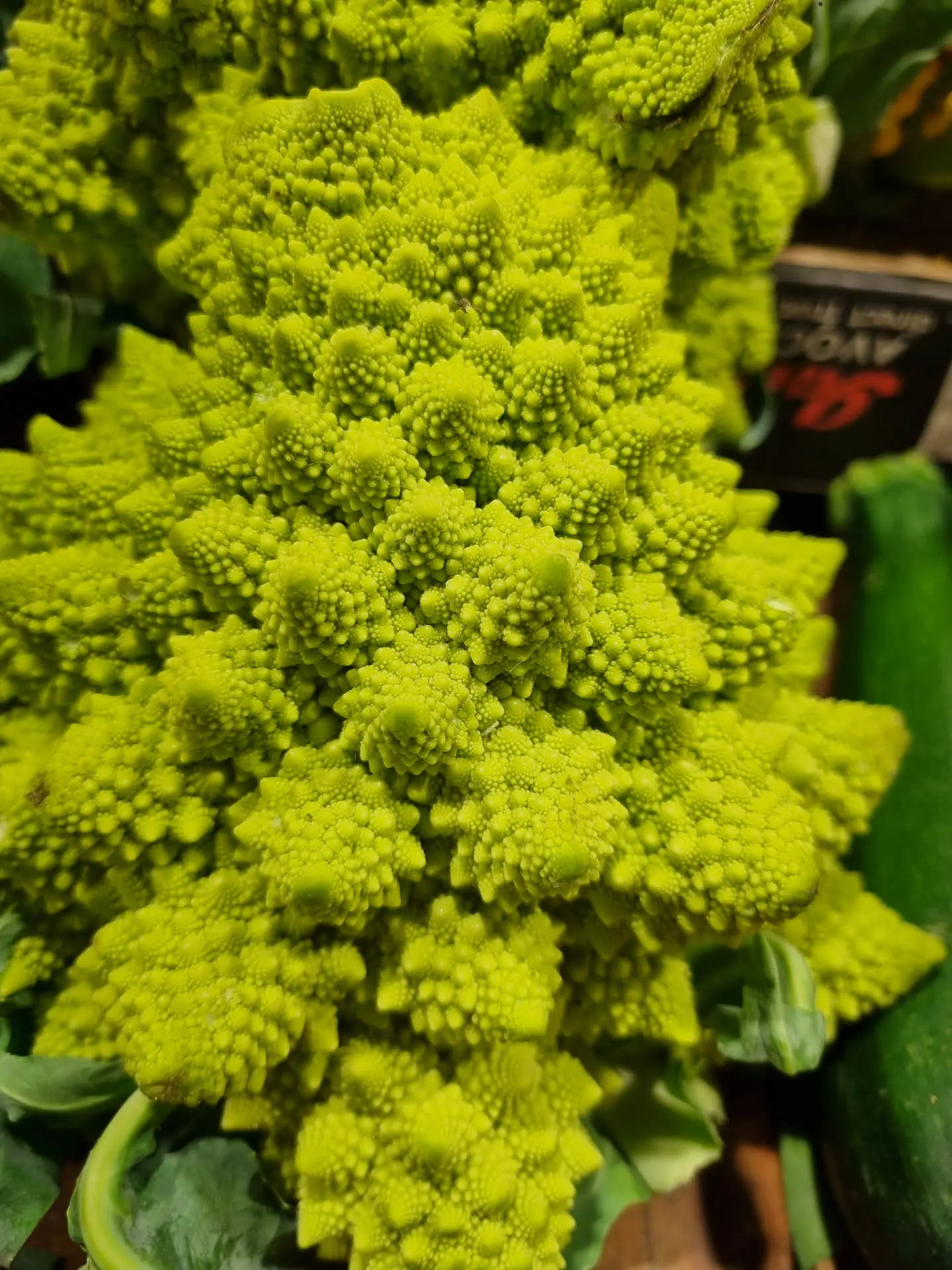 Romanesco broccoli